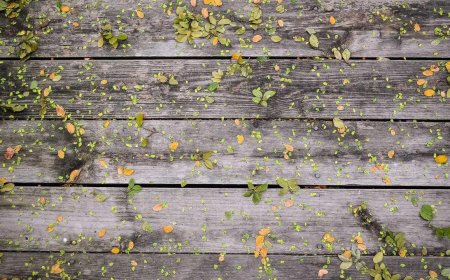 Smart Strategies for Investing & Building Passive Income