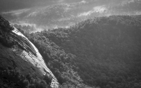 Top Skills to Master for Success in Remote Jobs