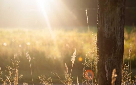 20 Unique Creative Ideas to Spark Your Imagination