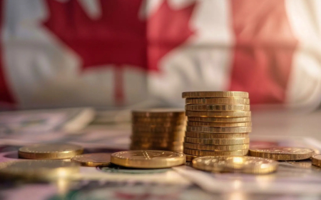 Taxes in Canada Explained: How to Legally Optimize Your Tax Burden in 2025