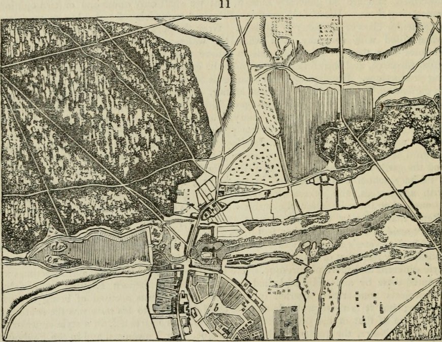 Unlocking Organizational Excellence: A Comprehensive