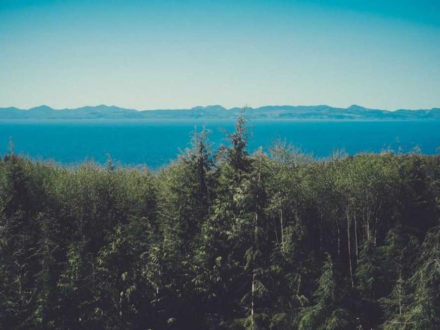 Small Teams, Big Impact: A Comparison of Customer...