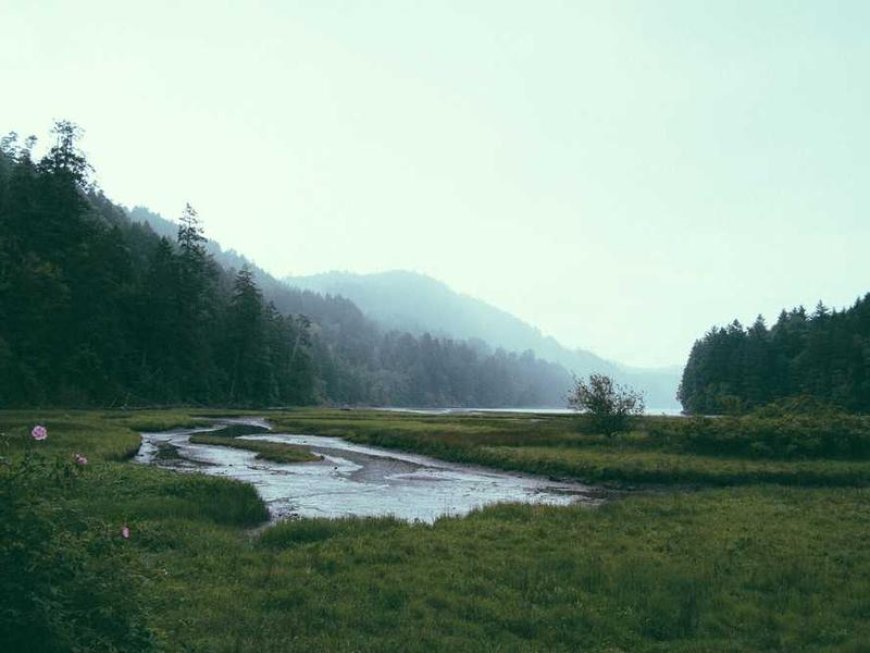 Skyrocket Conversions with These Proven Social Proof...