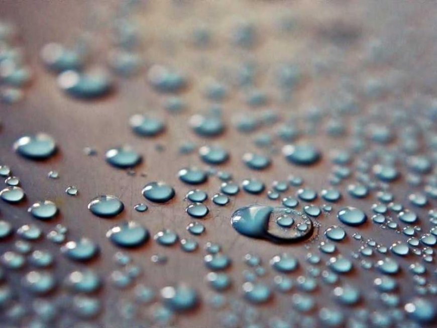 Ditch The Hype: Authentic Social Media Branding For...