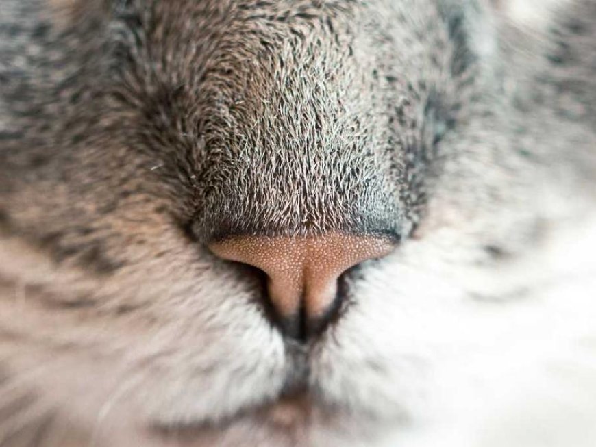Elevating Your Marketing: 7 Ingenious Content...