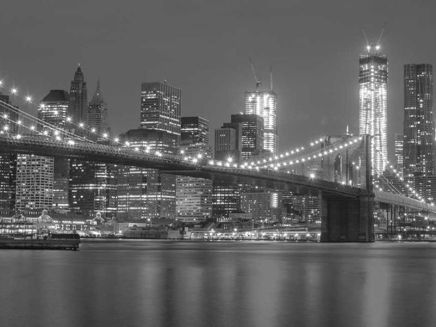 Unleashing the Power of YOLO: Mastering Object Detectio