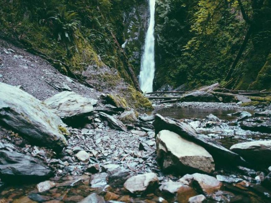 Navigating the Remote Work Frontier: A Beginner's Guide