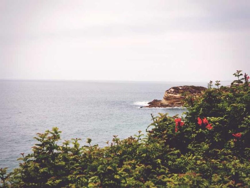 Unlock the Power of Routine: A Beginner's Guide to Success