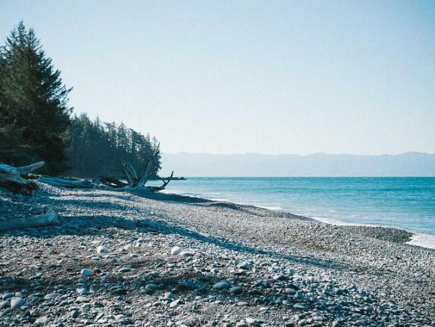 Reclaim Your Time: Effortless Strategies to Master