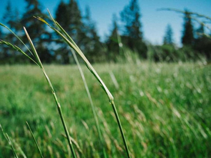 From Burnout to Balance: A Beginner's Guide to Success