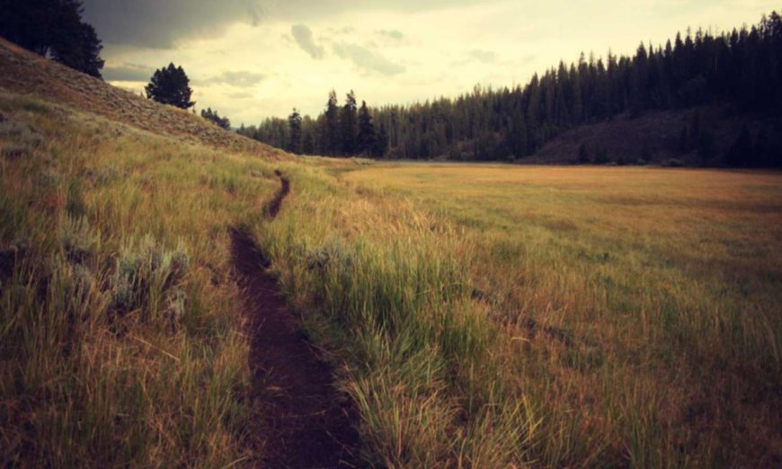 Mastering Work-Life Balance for Beginners: Essential Tips