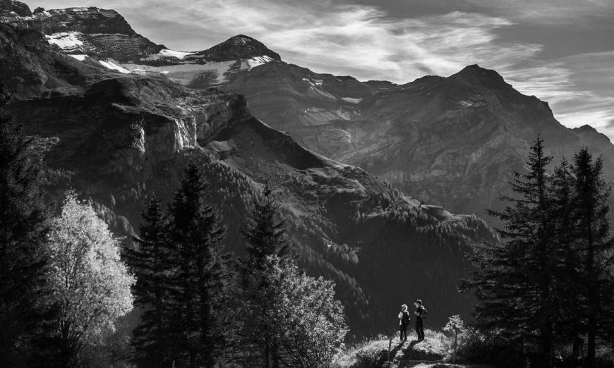 The Future of Remote Work Setup: Trends & Predictions
