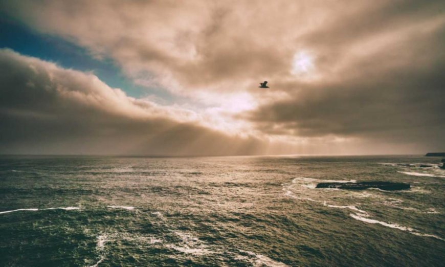 Unexpected Benefits of Personal Productivity You Never Knew